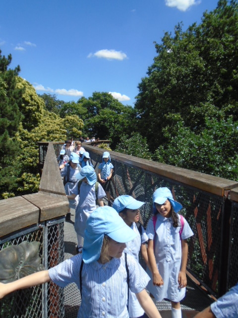 Kew Gardens